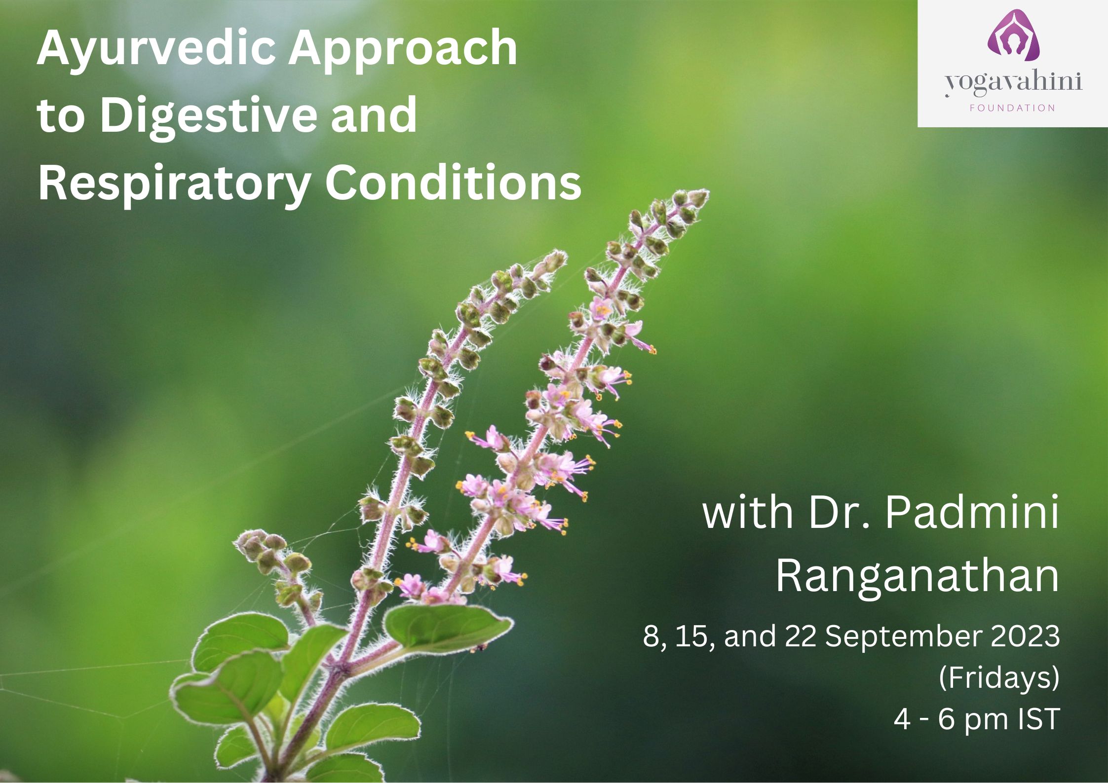 Ayurveda for respiratory and digestive conditions 